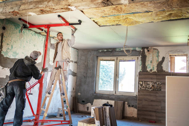 Best Insulation Contractor Near Me  in Stansberry Lake, WA