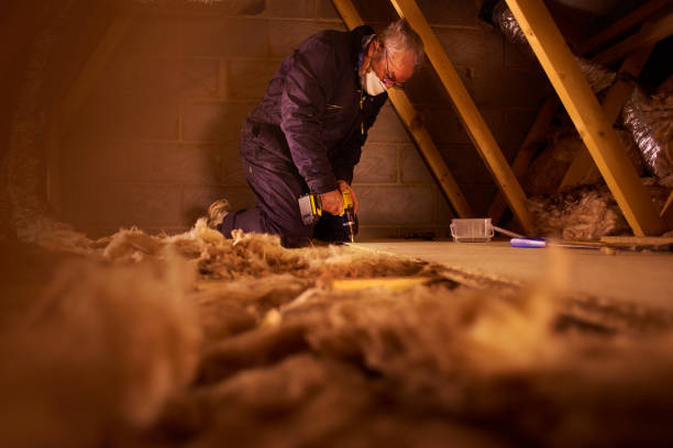 Best Insulation for Commercial Buildings  in Stansberry Lake, WA