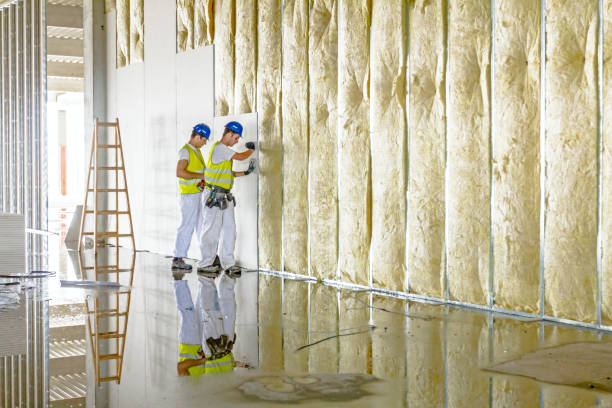 Best Insulation for New Construction  in Stansberry Lake, WA